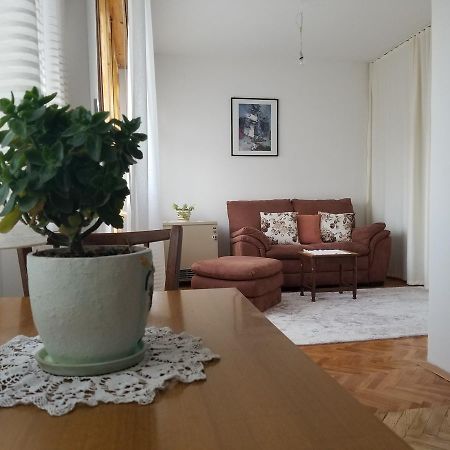 Super Central & Panoramic - Leo'S Apartment プリシュティナ エクステリア 写真